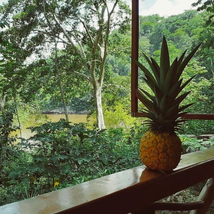 Alma Del Rio Eco-Comfort On The Water San Ignacio Exterior photo