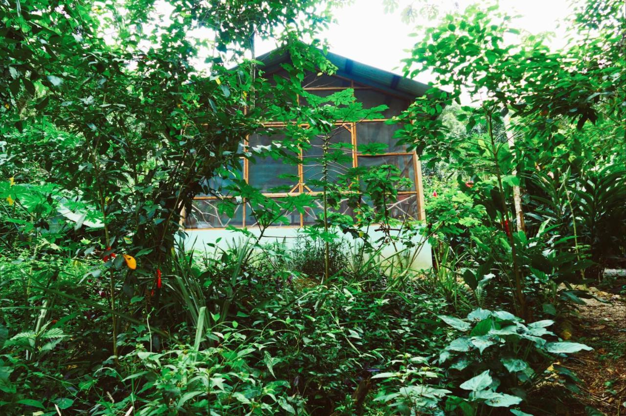 Alma Del Rio Eco-Comfort On The Water San Ignacio Exterior photo